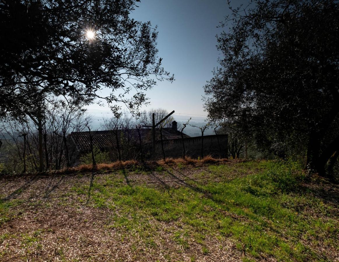 Ca Del Vajo Valpolicella House Villa Negrar Exterior photo
