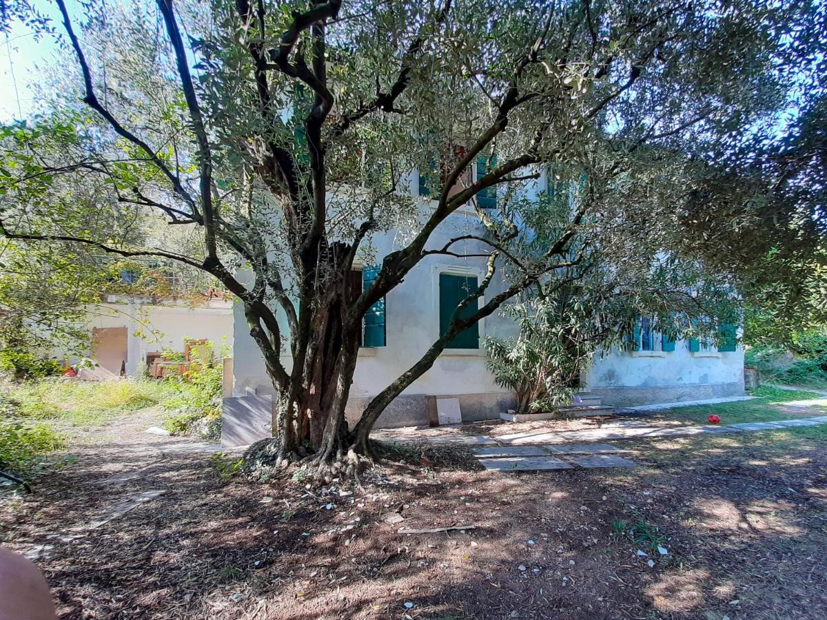 Ca Del Vajo Valpolicella House Villa Negrar Exterior photo